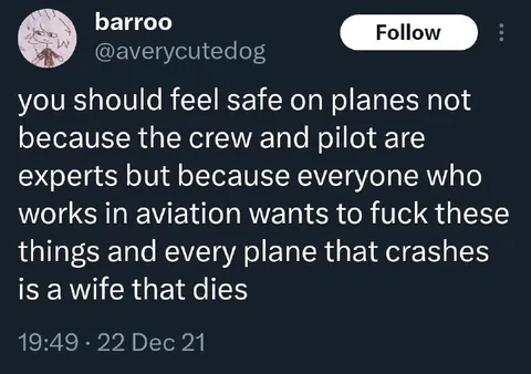 Aviation Workers Want to Fuck Planes