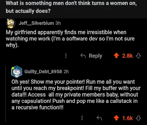 Software Developer Seduction