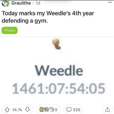 Weedle Defending a Gym for Four Years