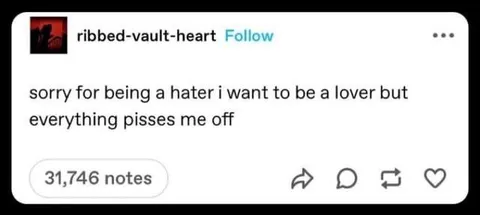 Sorry for Being a Hater