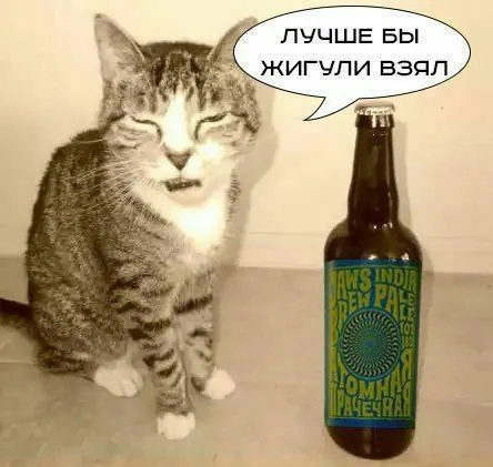 Лучше бы Жигули взял