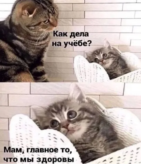Мам, главное, что мы здоровы