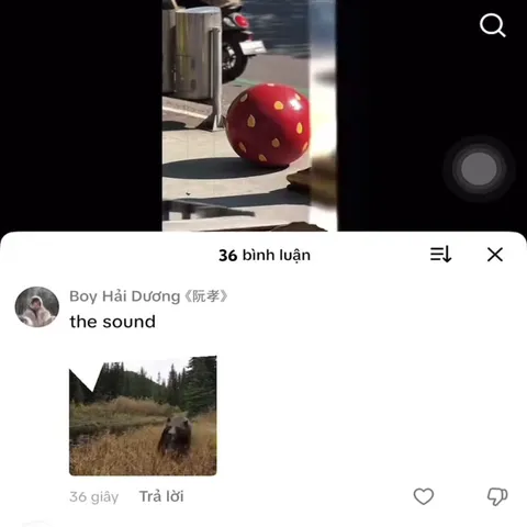 The Sound of Absolute Chaos