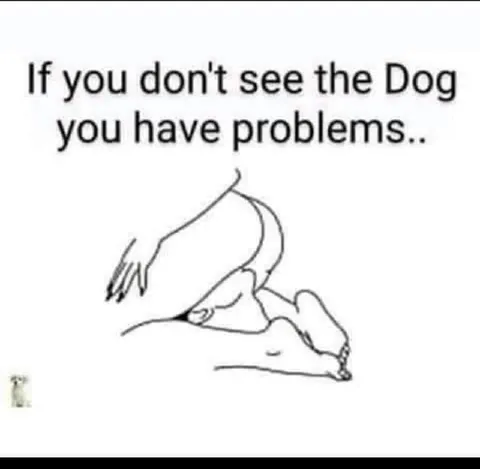If You Don't See the Dog