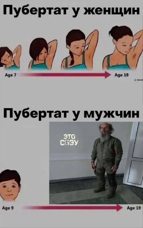 Пубертат у женщин и мужчин