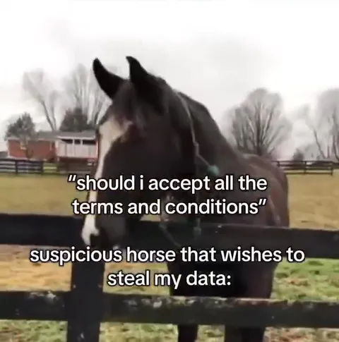 Suspicious Horse Reads the Terms
