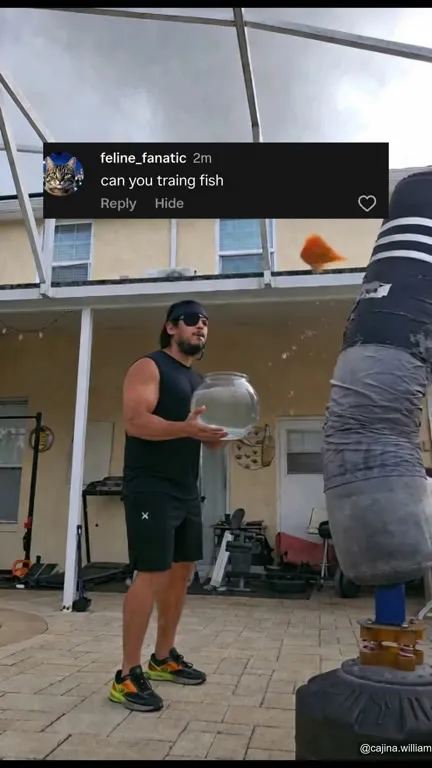 Training Fish to Hit the Bag