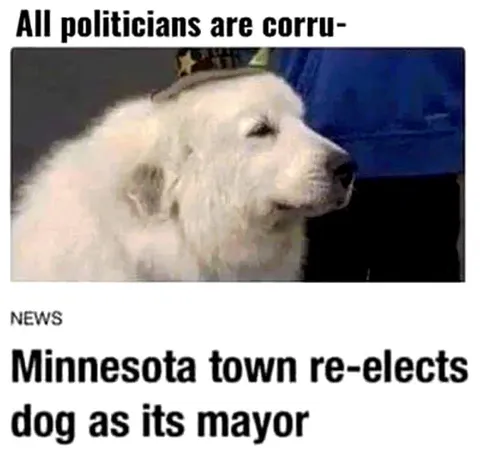 Dog Mayor Exposes Politicians