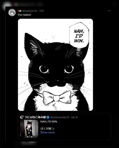 Nah, I’d Win Cat