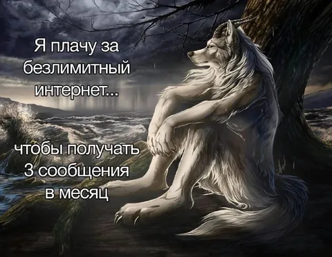 Плачущий волк за интернет