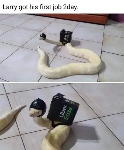 Larry's First Uber Eats Job