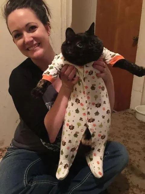 Кот в детском комбинезоне