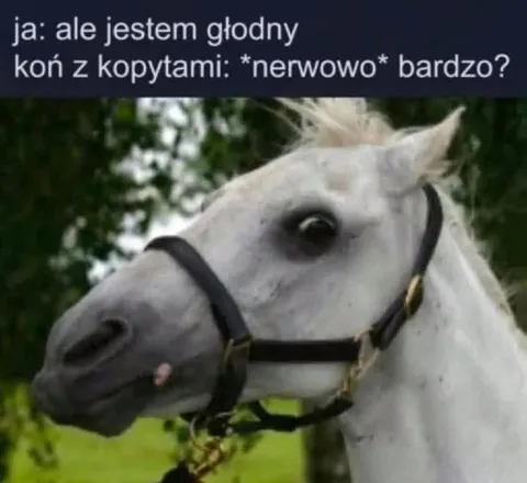 Nerwowo głodny koń