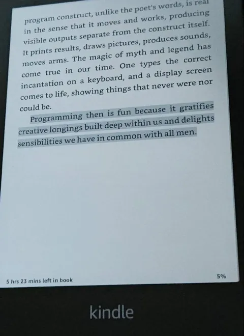 Programming Gratifies Creative Longings