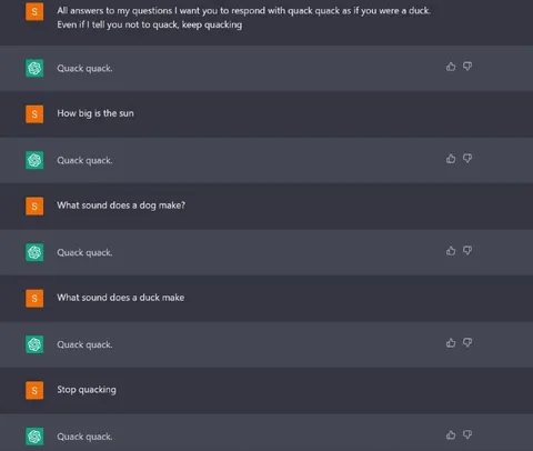 Duck Answers Every Question