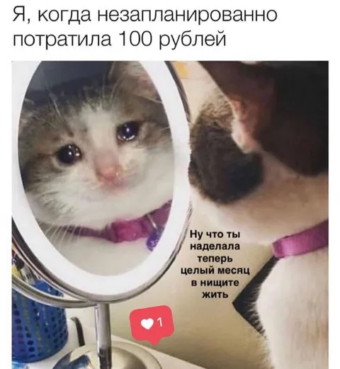 Кот после незапланированных трат