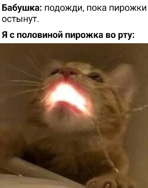 Кот с горячим пирожком