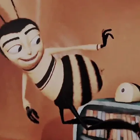 Bee dancing to Imma Be