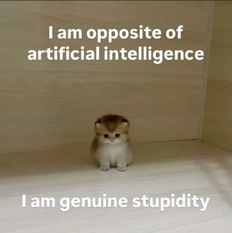 Genuine Stupidity Kitten