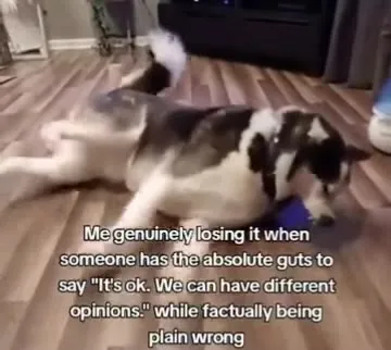 Absolutely Losing It Over Opinions