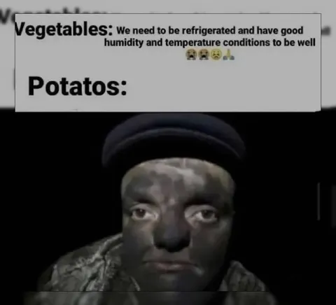 Potatoes Need No Conditions