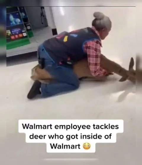Walmart Employee Tackles Deer