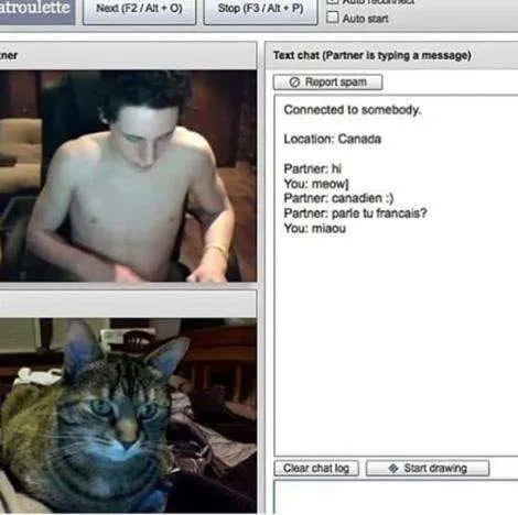 Cat Pretends to Be Canadian