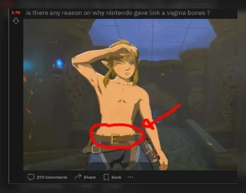 Why Does Link Have Vaginal Bones?