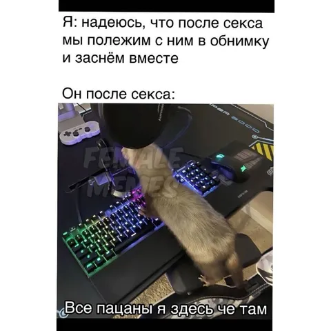 Он после секса сразу за компьютер