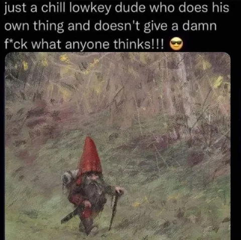Chill Lowkey Forest Gnome