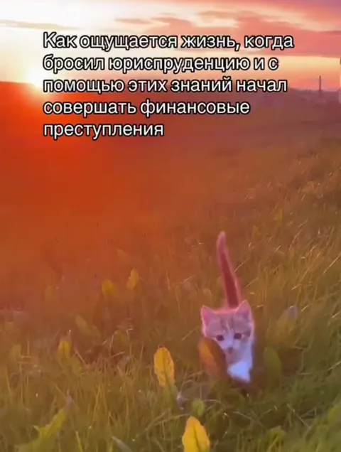 Жизнь после юрфака
