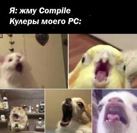 Кулеры после нажатия Compile