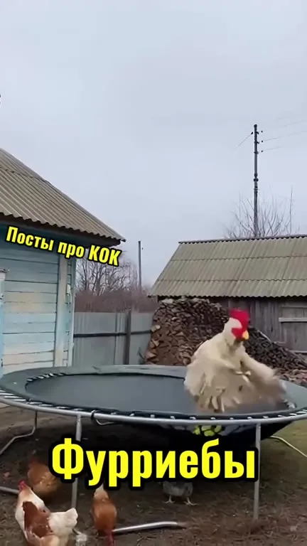 Фурриебы против фашистов