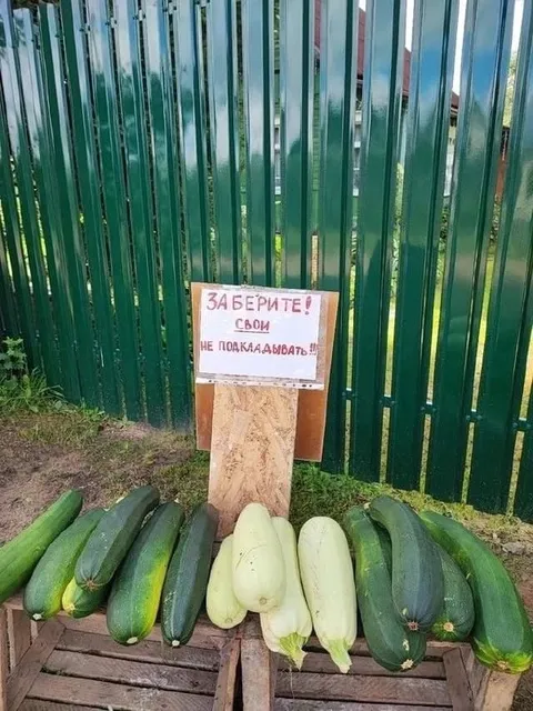 Заберите свои кабачки