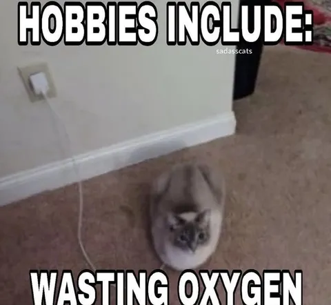 Hobbies Include Wasting Oxygen