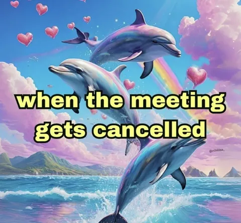 Dolphins Celebrate Cancelled Meeting