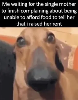 Waiting to Raise the Rent