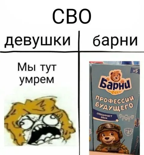 Девушки и барни во время СВО