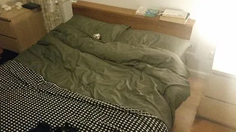 Котик прячется в кровати