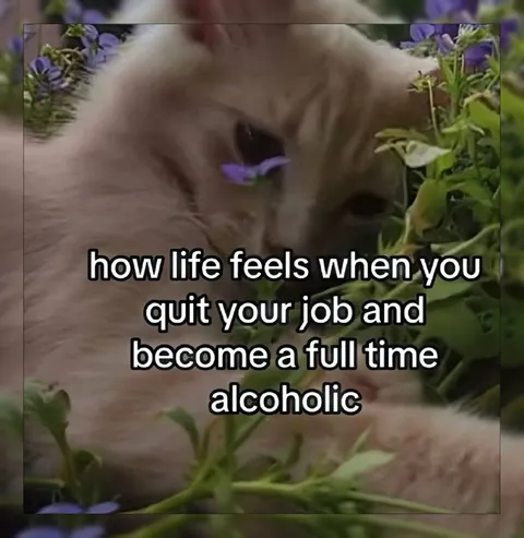 Quit Your Job, Become an Alcoholic