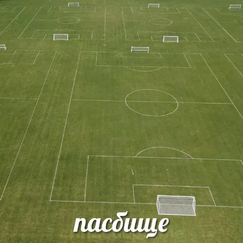 Футбольное поле-пасбище