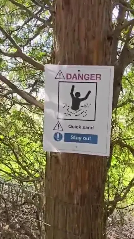 Danger: Quick Sand Tree Sign