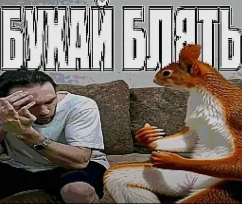 Brain Rot Squirrel Reaction