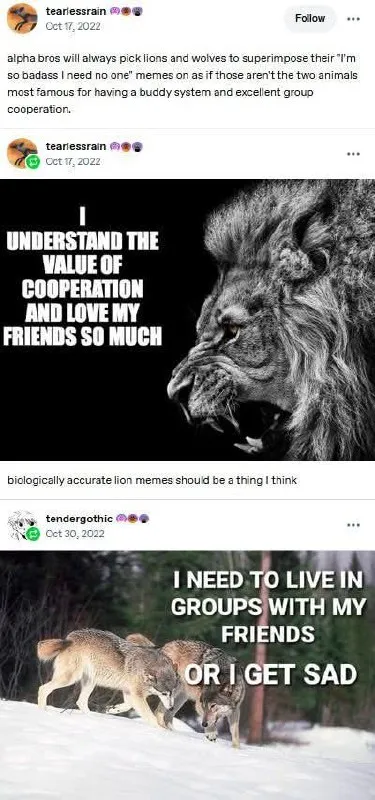 Biologically Accurate Lion Meme