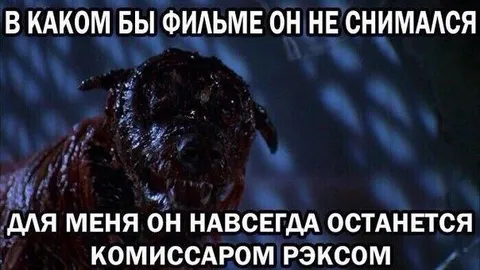 Комиссар Рэкс в любом фильме