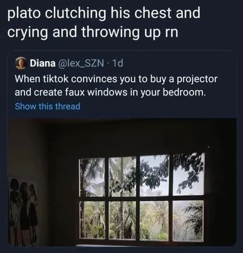 Plato Sees Faux Bedroom Windows