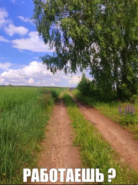 Работаешь на природе?