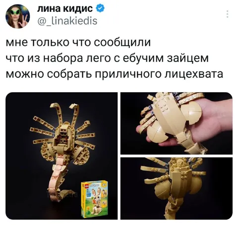 Придирчивый лицехват из LEGO