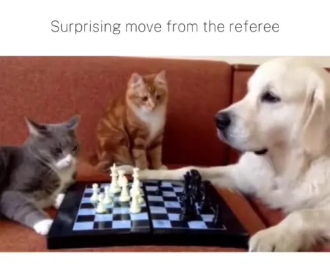 The Referee Makes a Surprising Move