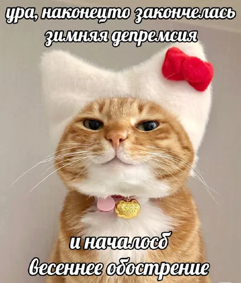 Кот переживает весеннее обострение